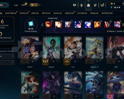 LOL TR HANDMADE UNRANKED HESAP