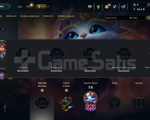 LOL TR HANDMADE UNRANKED HESAP