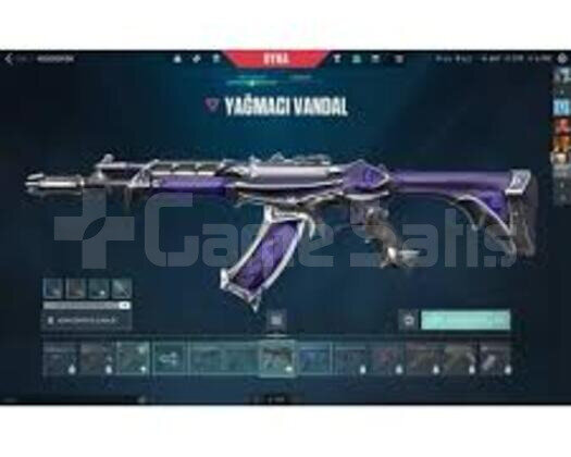Yagmacili+178 level+email değişen hesap