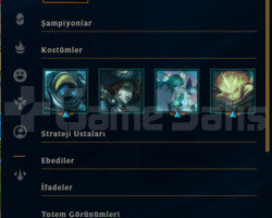 1 YILLIK / 43 BİN MAVİ ÖZ / 30 LEVEL FRESH