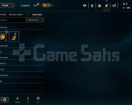 23 KOSTÜM EMERALD SUPPORT ACC