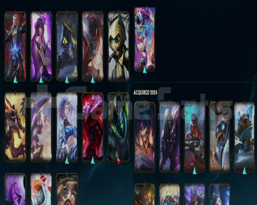 23 KOSTÜM EMERALD SUPPORT ACC