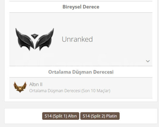 GEÇEN SEZON GOLD / DERECELİ HAZIR / 12 BİN MAVİ