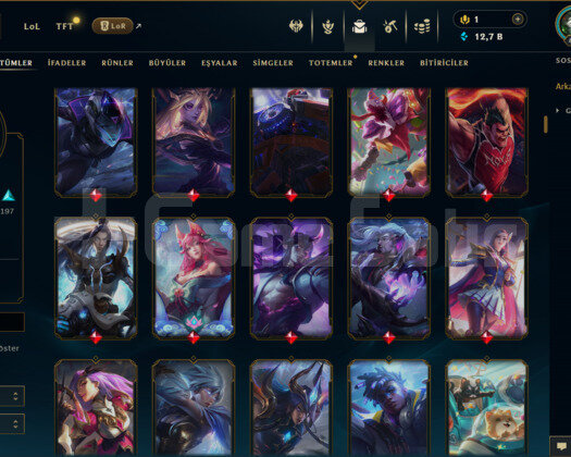 EUW / 400 LEVEL / 433 SKİN / 169 HERO +MAİL