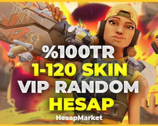 VALORANT 100 TR 1-120 SKIN VİP RANDOM HESAP