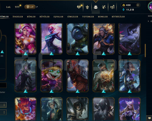 TR / 215 LEVEL / 72 SKİN / 125 HERO +MAİL