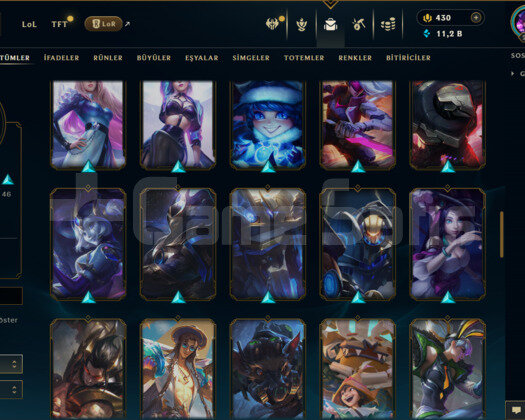 TR / 215 LEVEL / 72 SKİN / 125 HERO +MAİL