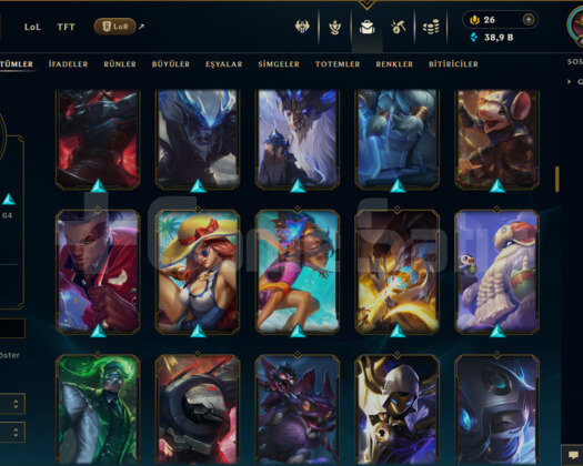 EUW / 458 LEVEL / 158 SKİN / 137 HERO +MAİL