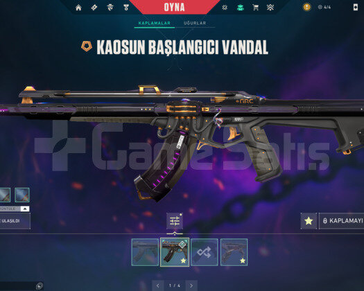 TR | KAOS/EJDER/YAĞMACI MAİL DEĞİŞEN+TELEFON+VP