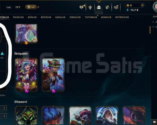 264 LEVEL / 135 SKİN / 163 HERO +MAİL +TELEFON