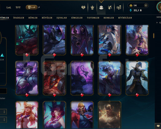 TR / 613 LEVEL / 219 SKİN / FUL HERO +MAİL
