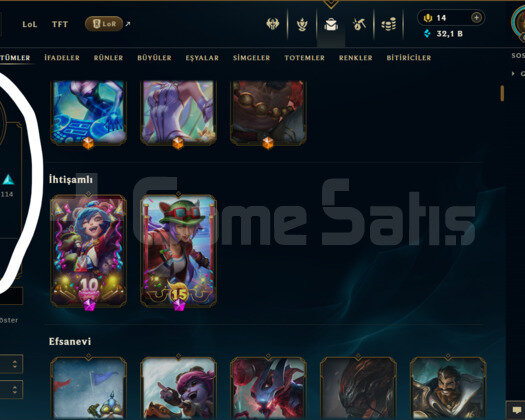 TR / 613 LEVEL / 219 SKİN / FUL HERO +MAİL