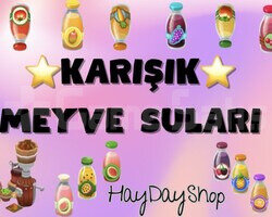 100 KARIŞIK MEYVE SUYU | HAYDAY