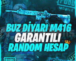 Buz diyarı garantili random hesap
