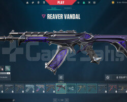 #MAİLLİ #TR KÖKEN VANDAL IRON 3 YAĞMACILI HESAP