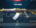 ASİL VANDAL İLK MAİL MEVCUT UNRANKED TR 20 SEVİYE