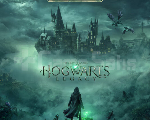 HOGWARTS LEGACY PS4/PS5+GARANTİ