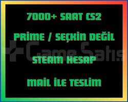 7000+ Saat CS2 + MAİL