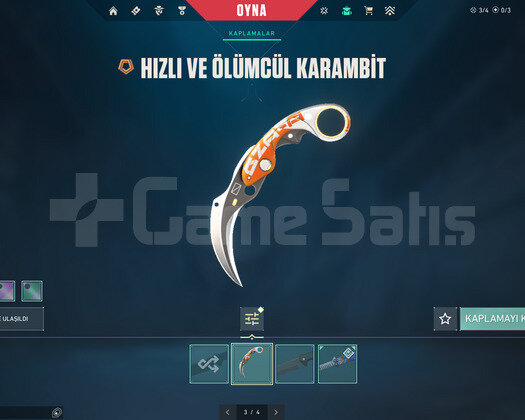 MAİNLİK/DOLU/ACC