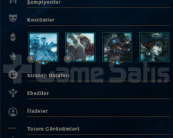 1 YILLIK / 43 BİN MAVİ ÖZ / 30 LEVEL FRESH