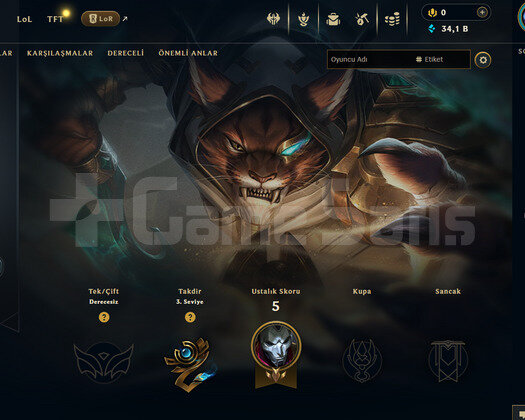 EUW Unranked | 2 Kostüm - 34K Mö | LoL Hesap