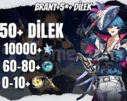 EU | UL30 Brant + 5* +10000 Astrite + 60+0-10