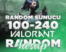 100-240 Valorant Random Hesap GLOBAL