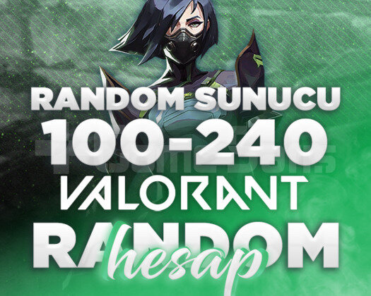 100-240 Valorant Random Hesap GLOBAL