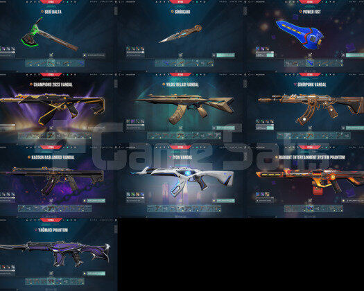 65 Skin/Champions 2023/Seri Tetik/Kaos/Radiant/RGX
