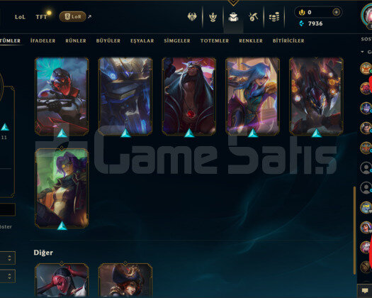 TR / 84 LVL + 15 SKİN + HANDMADE + MAİL DEĞİŞEN
