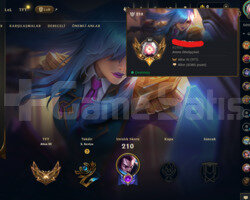 TR / 84 LVL + 15 SKİN + HANDMADE + MAİL DEĞİŞEN