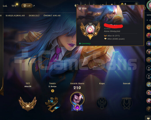 TR / 84 LVL + 15 SKİN + HANDMADE + MAİL DEĞİŞEN