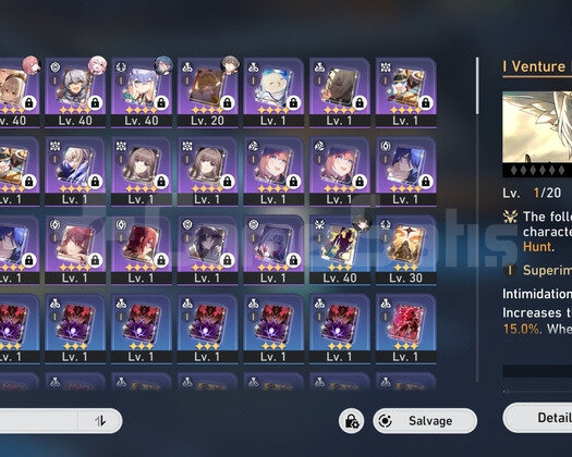 TL21 Feixiao + LC + Bailu