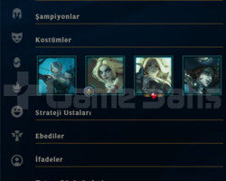 1 YILLIK / 44 BİN MAVİ ÖZ / 30 LEVEL FRESH