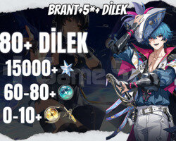 EU | UL30 Brant + 5* +15000 Astrite + 60+0-10