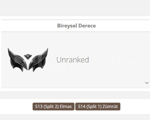 GEÇEN SEZON ELMAS / DERECELİ HAZIR / TR