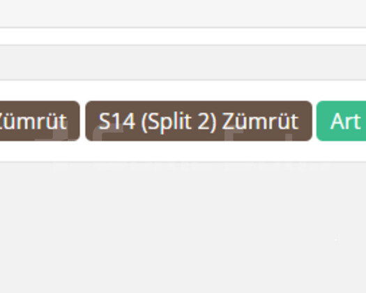 GEÇEN SEZON ZÜMRÜT / DERECELİ HAZIR/ TR