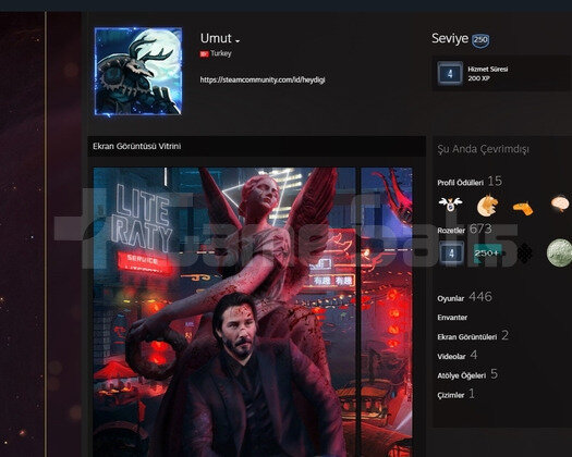 200+30 RATEUP- ÇİZİM - EKRAN - REHBER - STEAM
