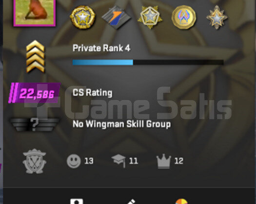 FACEIT 10 LEVEL 2157 ELO | SEÇKİN 22,500 | 767SAAT
