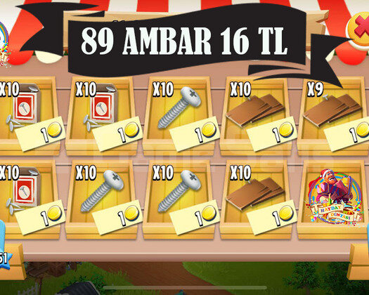 89 AMBAR MALZEMESİ 16 TL