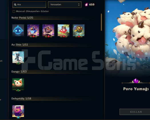 25 LEVEL 9 ARENA/20 KOSTÜM/PORO YUMAĞI