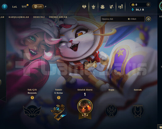EUW Unranked | 1 Kostüm - 26K Mö | LoL Hesap