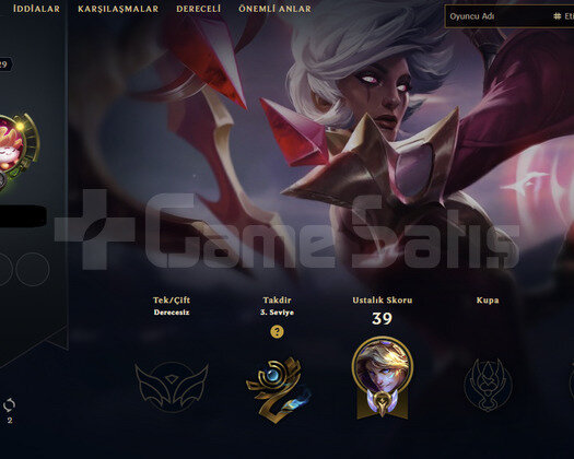 29 lvl hesap