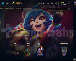 66 LEVEL 8 SKİN HESAP