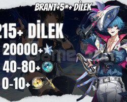 EU | UL30 Brant + 5* +20000 Astrite + 40+0-10