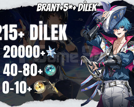 EU | UL30 Brant + 5* +20000 Astrite + 40+0-10