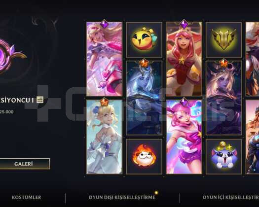 205 lvl full hero 111 kostüm dolu hesap