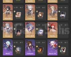 Ruanmei + Robin + Feixiao + Aventurine + ... 17x5