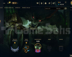 LOL EUW GÜMÜŞ 10 SKİN 94 LVL HESAP