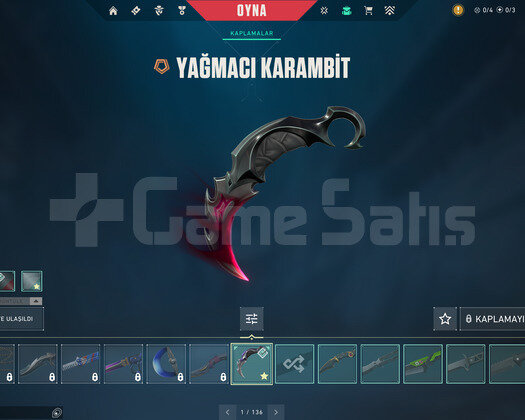 Sahibinden 263 seviye bol skinli hesap